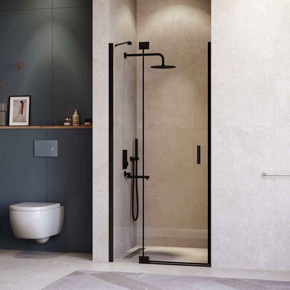 Душевая дверь RGW HO-014B (Прозрачное, 1100)