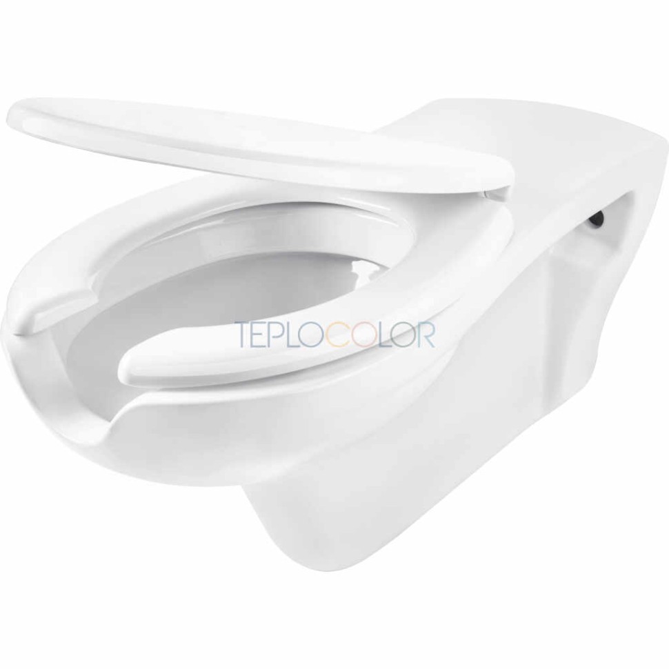 Унитаз, с крышкой, для людей с ограниченной подвижностью