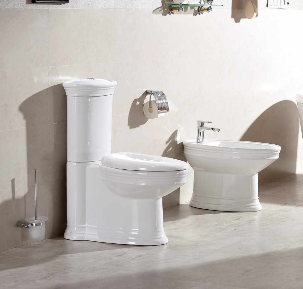 Биде напольное CeramaLux 2051