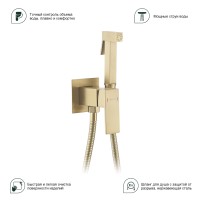 Смеситель Splenka встраиваемый с гигиеническим душем S98.52.03 Золотой сатин