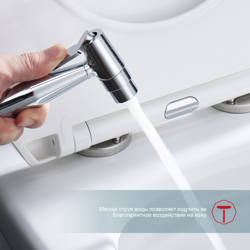 Смеситель Raglo встраиваемый с гигиеническим душем R20.52 Хром