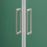 Душевая дверь RGW PA111Nb (Прозрачное, 1600мм)