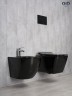 Унитаз подвесной Gid Tr2144BL 62224Y черная глянцевая 52x36x33.5