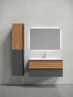 Тумба подвесная SANCOS Delta 995х445х500, c двумя ящиками оснащенными доводчиками, дуб красный/графит , арт. DL100GR