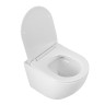 Унитаз подвесной безободковый с сиденьем BelBagno SFERA-R BB046CHR/SC