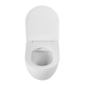 Унитаз подвесной безободковый с сиденьем BelBagno SFERA-R BB046CHR/SC