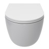 AQM2013PRO Унитаз подвесной сиденье SoftClose, технология смыва Invisible, скрыт крепеж. 490х360х380