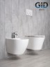 Унитаз подвесной Gid Tr2130 62235Y белый 50x36x35