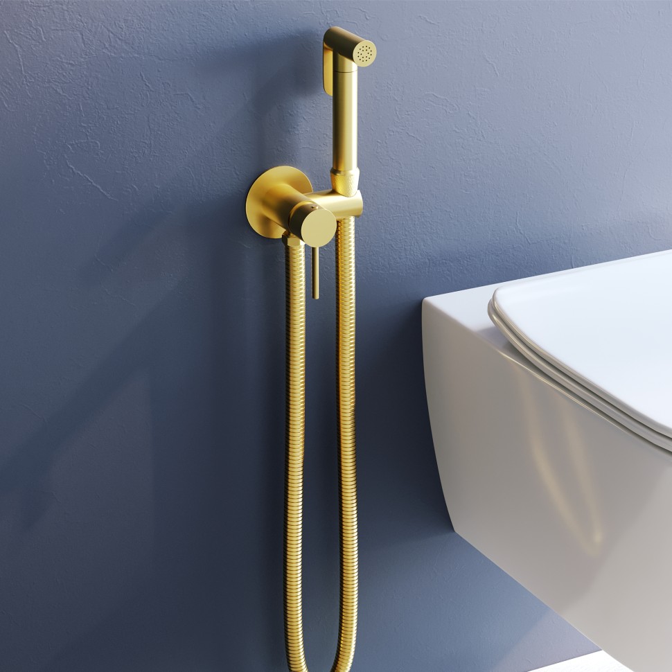 Гигиенический душ со смесителем инсталляционный RGW SP-211Gb