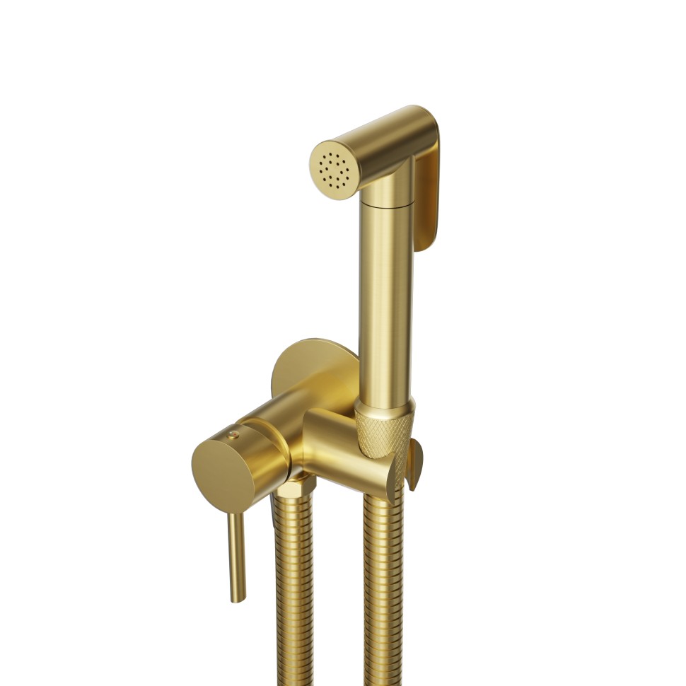 Гигиенический душ со смесителем инсталляционный RGW SP-211Gb