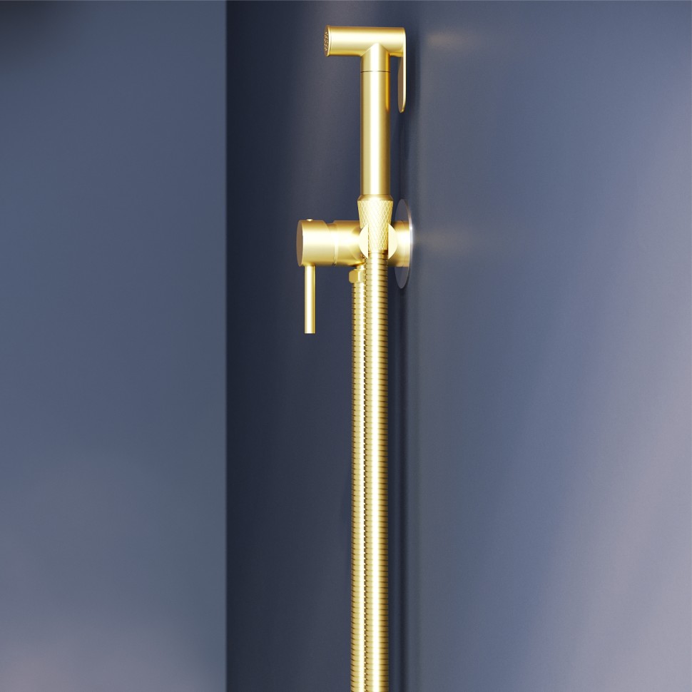 Гигиенический душ со смесителем инсталляционный RGW SP-211Gb