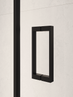 Душевая дверь RGW PA-104B (800)