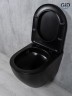Унитаз подвесной Tornado Gid Tr2122TF-Bm 62261Y черный матовый 49x36x36