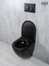 Унитаз подвесной Tornado Gid Tr2122TF-Bm 62261Y черный матовый 49x36x36