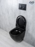 Унитаз подвесной Tornado Gid Tr2122TF-Bm 62261Y черный матовый 49x36x36