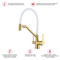 Смеситель Raglo для кухни со съемным гибким изливом, с магнитным фиксатором излива, с подключением фильтра питьевой воды R80.62.03 Золотой сатин