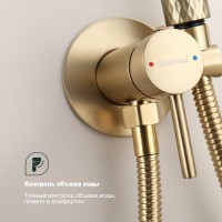 Смеситель Splenka встраиваемый с гигиеническим душем S99.52.03 Золотой сатин