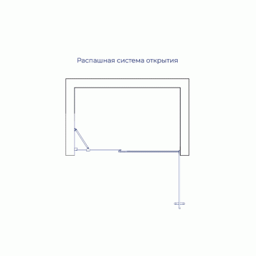 Душевая дверь RGW HO-012 900