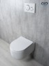 Унитаз подвесной Tornado Gid Tr2133TF 62262Y белый 49x36x34