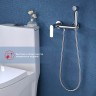 Смеситель Raglo настенный с гигиеническим душем R03.51