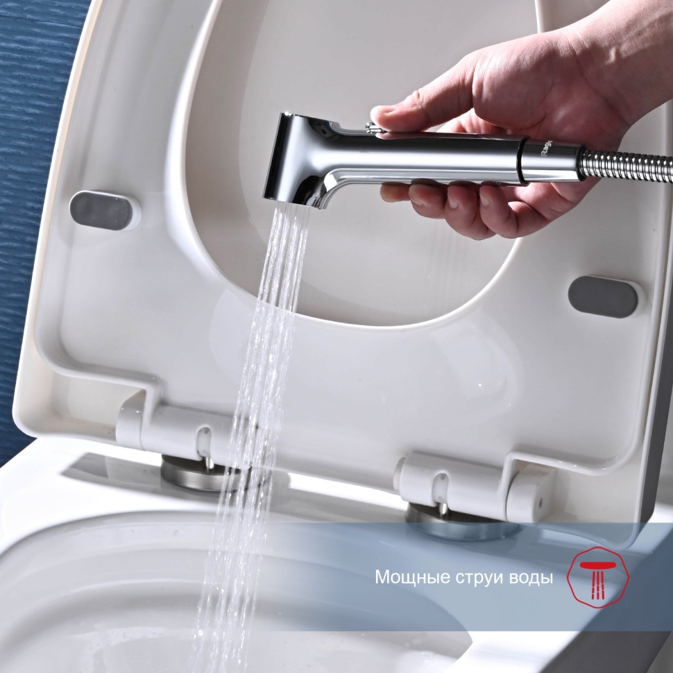 Смеситель Raglo настенный с гигиеническим душем R03.51