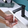 Смеситель Splenka для умывальника S30.10.06 Черный