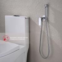 Смеситель Raglo встраиваемый с гигиеническим душем R03.52