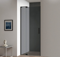 Стекло двери CEZARES SLIDER-B-1-90/100-GL-DOR-GR