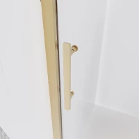 Душевая дверь Veconi Evo 100 G, 1300x1950, золото брашинг, стекло прозрачное