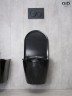 Унитаз подвесной Gid Bs2198 62227Y под камень глянцевый 49x36x35.5