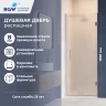 Душевая дверь RGW HO-011 900