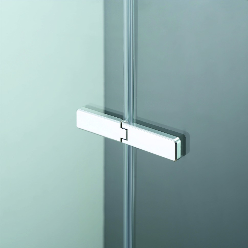 Душевой уголок с распашной дверью на петлях - RGW SV-040 (Прозрачное, 1200x900)