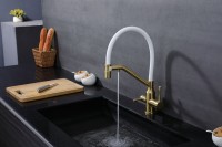 Смеситель Raglo для кухни со съемным гибким изливом, с магнитным фиксатором излива, с подключением фильтра питьевой воды R81.62.03 Золотой сатин