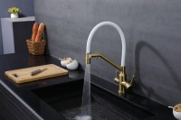 Смеситель Raglo для кухни со съемным гибким изливом, с магнитным фиксатором излива, с подключением фильтра питьевой воды R81.62.03 Золотой сатин