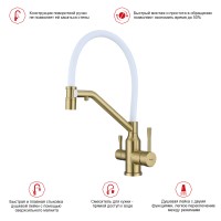 Смеситель Raglo для кухни со съемным гибким изливом, с магнитным фиксатором излива, с подключением фильтра питьевой воды R81.62.03 Золотой сатин