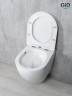 Унитаз подвесной Tornado Gid Tr2122TF 62258Y белый 49x36x36