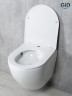 Унитаз подвесной Tornado Gid Tr2122TF 62258Y белый 49x36x36