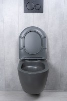 Унитаз подвесной Tornado Gid Tr2122TF-Dgm 62260Y серый матовый 49x36x36