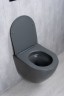 Унитаз подвесной Tornado Gid Tr2122TF-Dgm 62260Y серый матовый 49x36x36