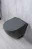 Унитаз подвесной Tornado Gid Tr2122TF-Dgm 62260Y серый матовый 49x36x36