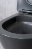 Унитаз подвесной Tornado Gid Tr2122TF-Dgm 62260Y серый матовый 49x36x36