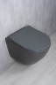 Унитаз подвесной Tornado Gid Tr2122TF-Dgm 62260Y серый матовый 49x36x36