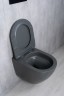 Унитаз подвесной Tornado Gid Tr2122TF-Dgm 62260Y серый матовый 49x36x36