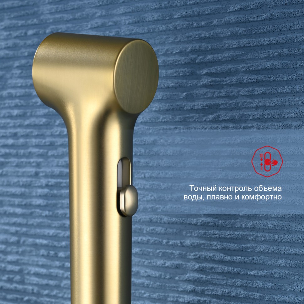 Смеситель Raglo настенный с гигиеническим душем R03.51.03