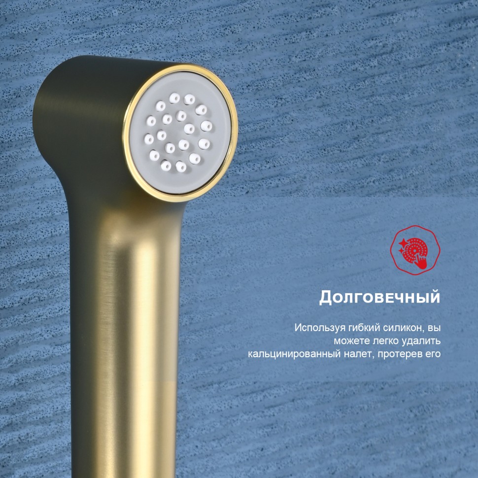 Смеситель Raglo настенный с гигиеническим душем R03.51.03