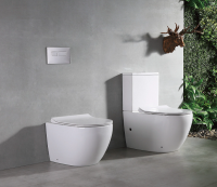 Унитаз напольный CeramaLux NS-2176