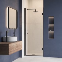 Душевая дверь RGW HO-011B (Прозрачное, 900)