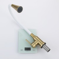 Смеситель Splenka для кухни с гибким изливом S201.4308.03 Золотой сатин