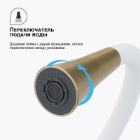 Смеситель Splenka для кухни с гибким изливом S201.4308.03 Золотой сатин