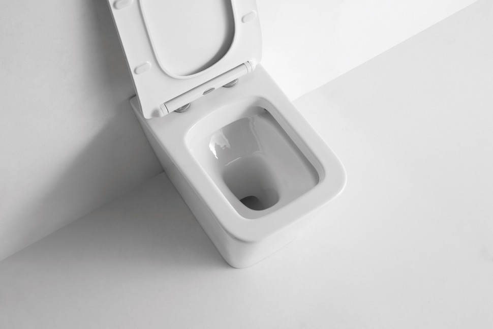 Унитаз приставной CeramaLux 3170